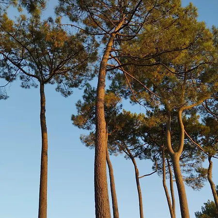 Grande Maison Entre Et Foret Villa Gastes